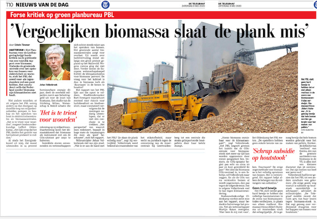 Vergoeilijken biomassa slaat de plank mis