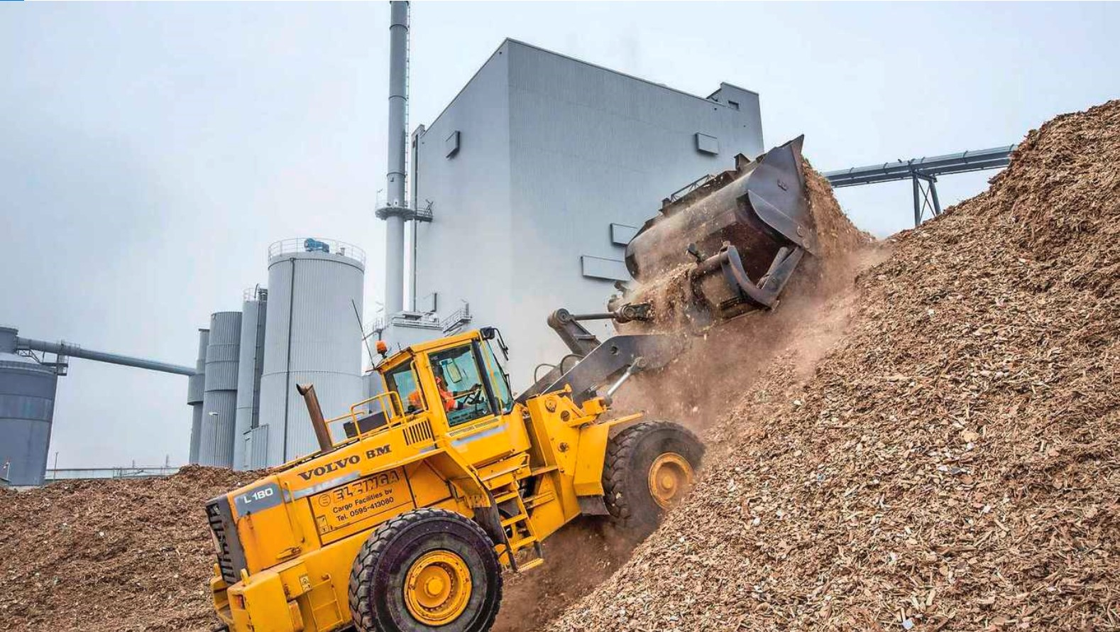 'Stop subsidies voor biomassa'